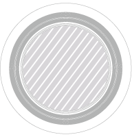 Wurfscheibe Fotodruck